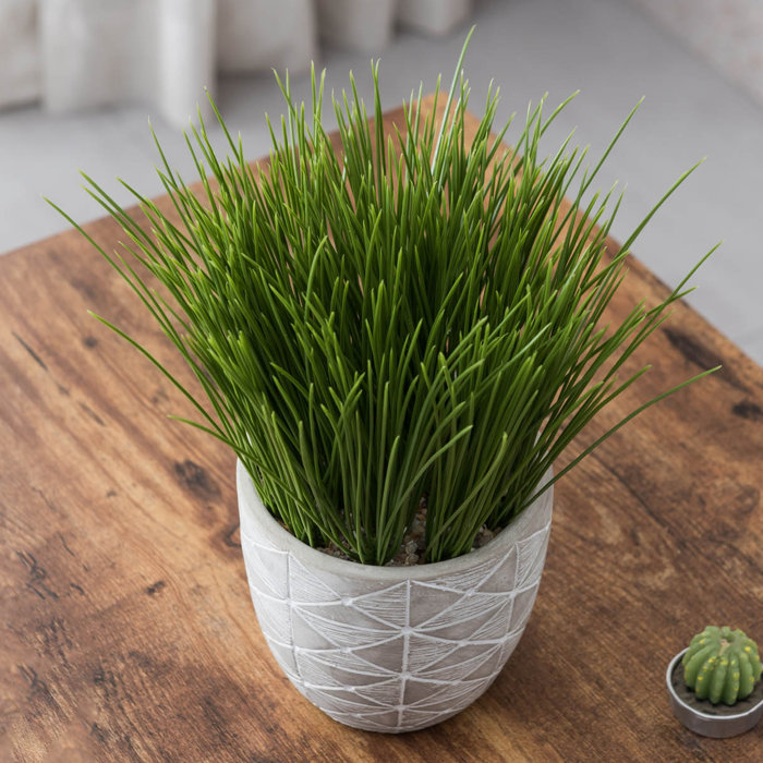 Primrue 5'' Artificial Reed Plant in Pot Wayfair